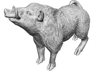 Wild Boar 3D Model