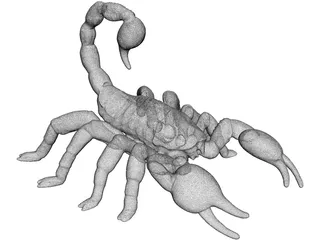 Scorpion 3D Model