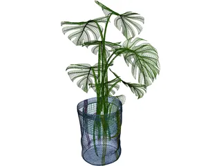 Monstera Deliciosa 3D Model