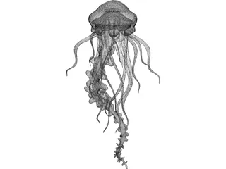 Jelly Fish 3D Model