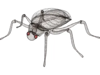 Bug 3D Model