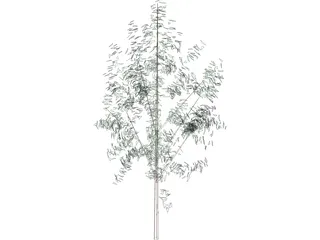 Tree 3D Model