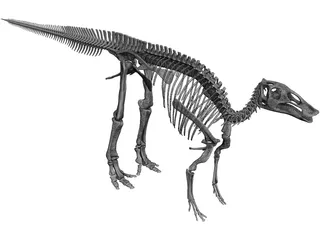 Edmontosaurus Skeleton 3D Model