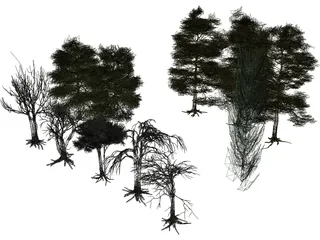 Tree Collection 3D Model