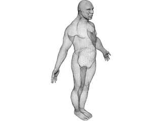 Male Human Figure 3D Model