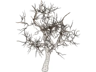 Tree 3D Model