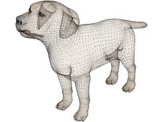 Dog 3D Model