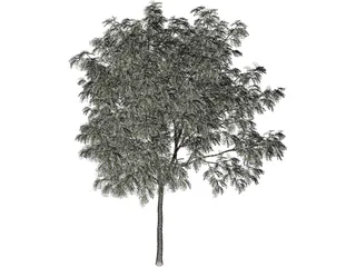 Arbol Tree 3D Model