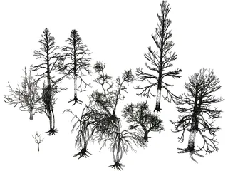 Dead Trees 3D Model