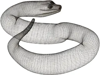 Rattlesnake 3D Model