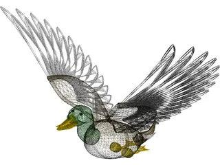 Duck Flying 3D Model