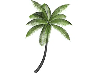 Palm 3D Model