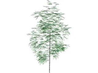 Tree 3D Model