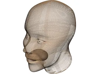 Human Head 3D Model