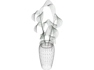 Ficus  3D Model
