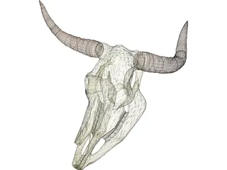 Cow Scull 3D Model