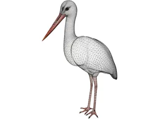 White Stork 3D Model