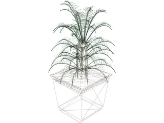 Cica Palm Tree with Sisal Vase 3D Model