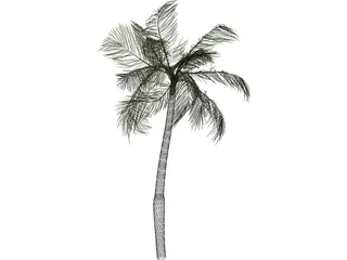 Palm Tree 3D Model