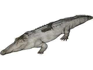 Crocodile 3D Model