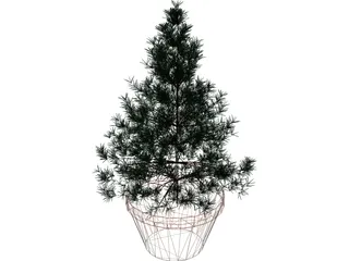 Potted Pine Tree 3D Model