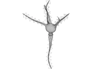 Neuron 3D Model