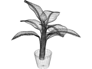Banana Plant 3D Model