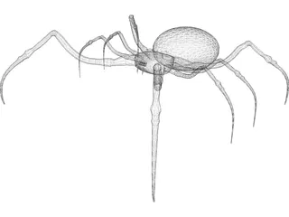 Spider 3D Model