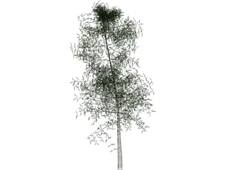 Tree 3D Model