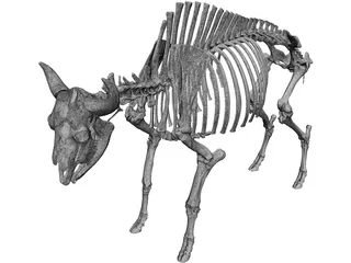 Bull Skeleton 3D Model