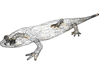 Salamandra 3D Model