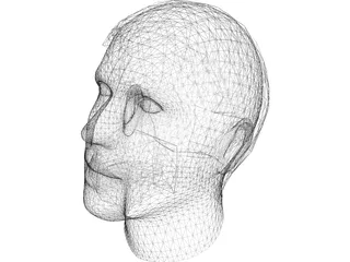 Man Head 3D Model