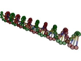 DNA 3D Model