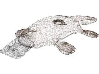 Platypus 3D Model