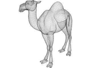 Camel 3D Model