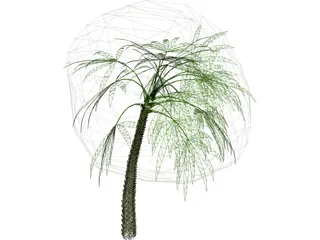 Palm 3D Model