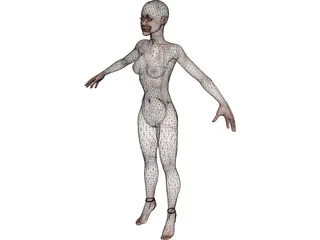 Woman 3D Model