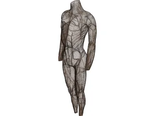 Surface Muscles 3D Model