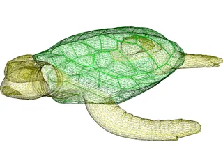 Turtle 3D Model