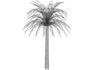 Tree Palm 3D Model