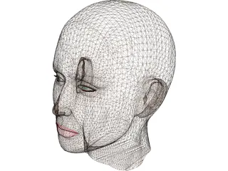 Head Female 3D Model