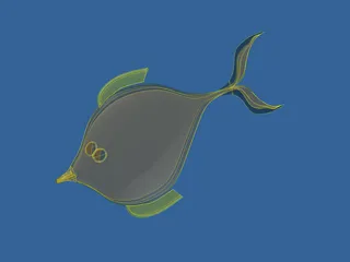 Fish 3D Model