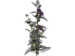 Plant 3D Model