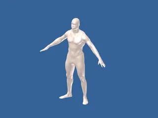 Man Body International 3D Model