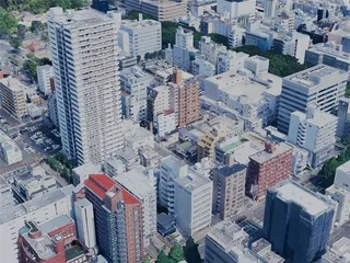 Sendai City, Japan (2025) 3D Model