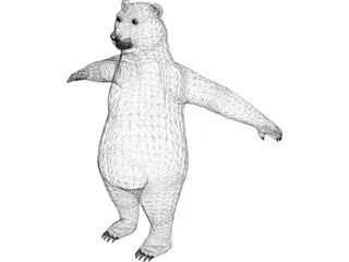 Bear 3D Model