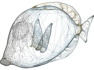 Amblyrhyncotes 3D Model