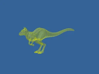 Kangaroo 3D Model