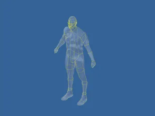 Human 3D Model