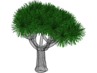 Tree 3D Model